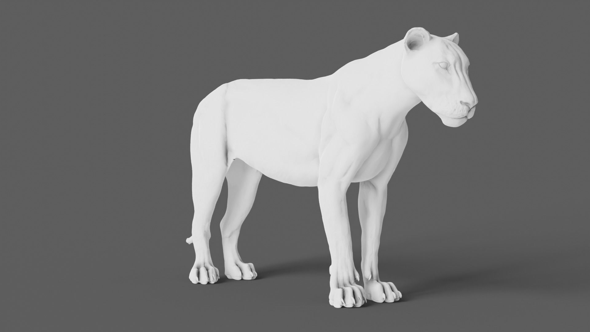 Lion 3D Model animal 3D model_3