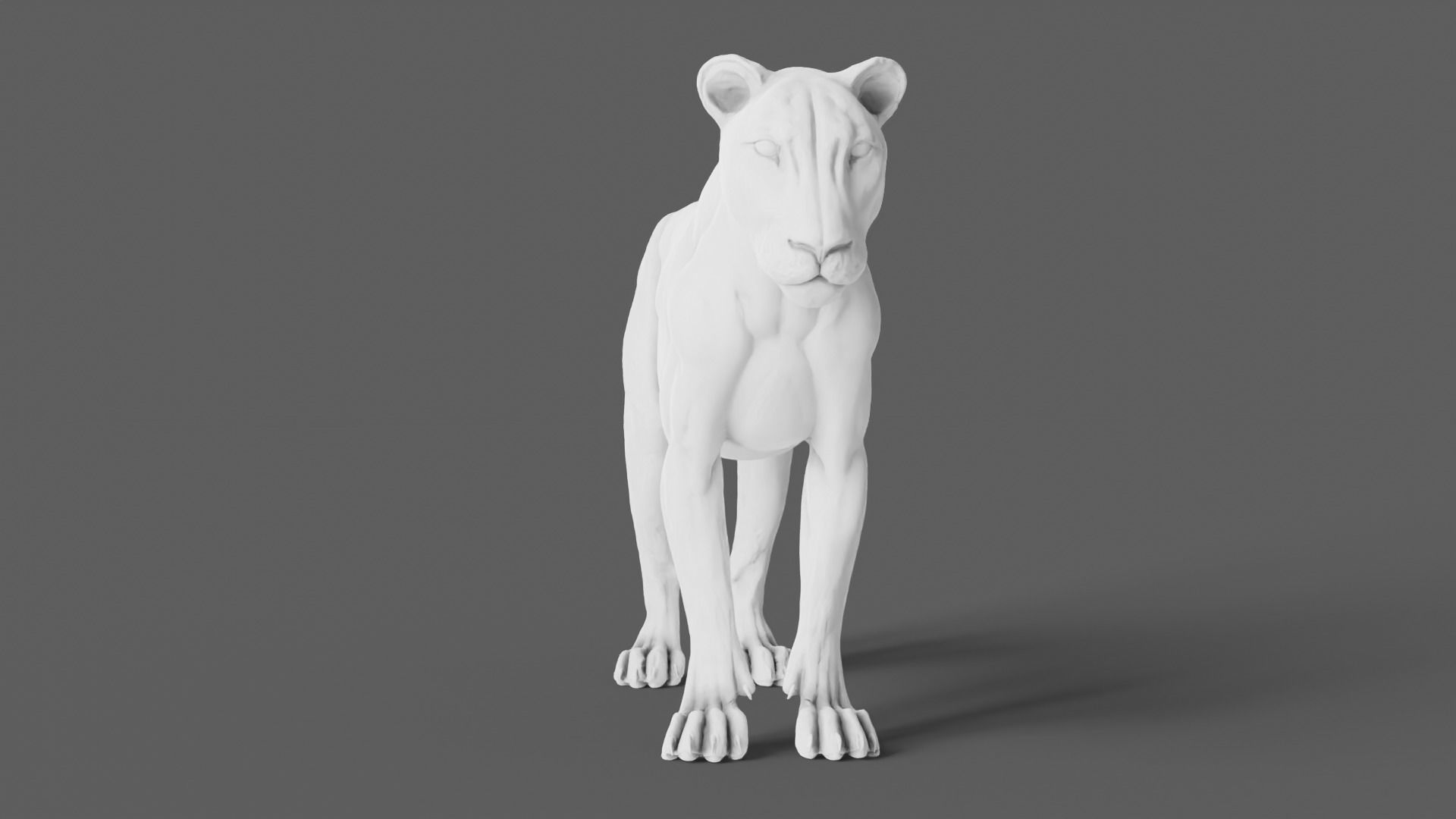 Lion 3D Model animal 3D model_5