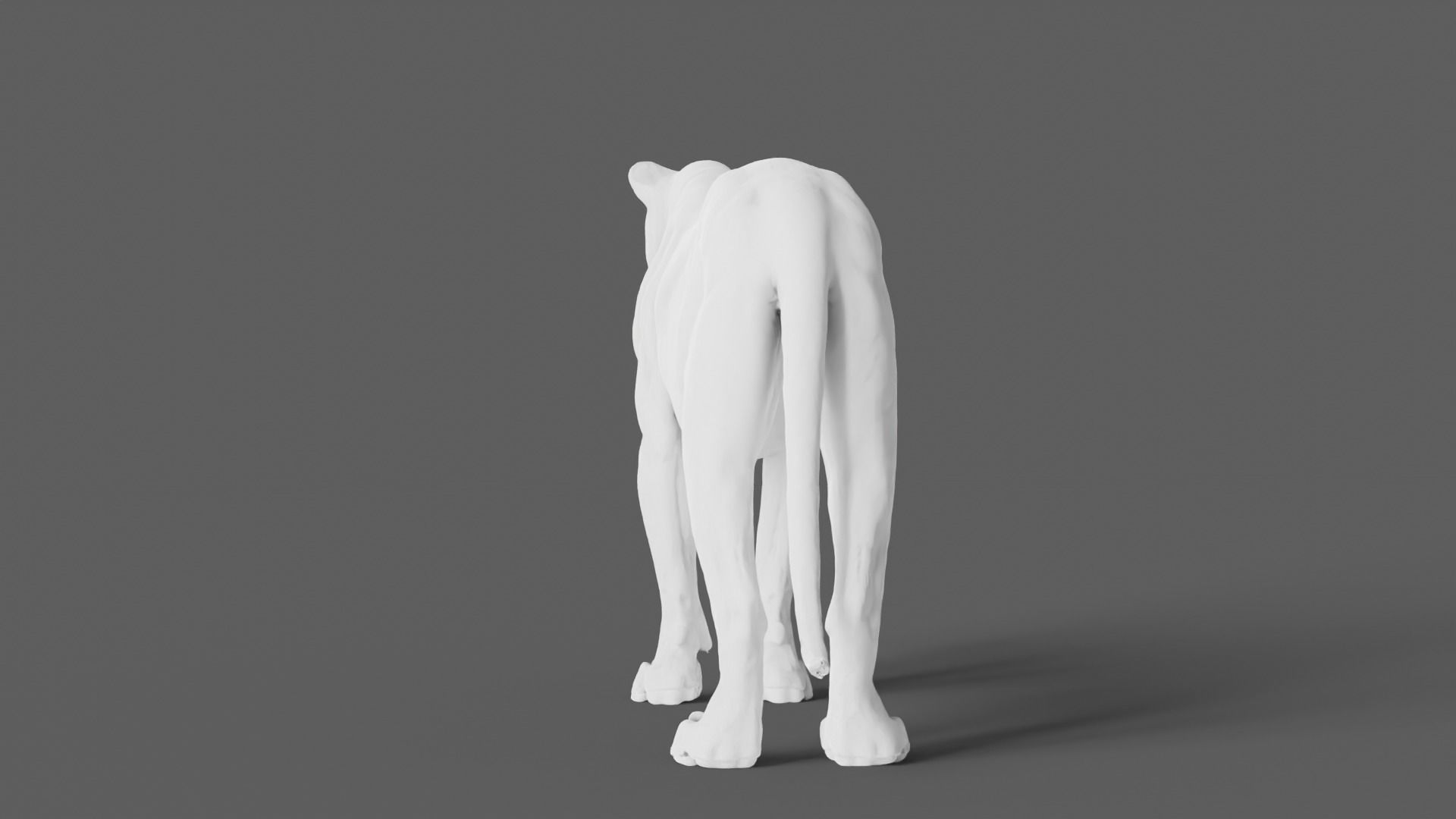Lion 3D Model animal 3D model_15