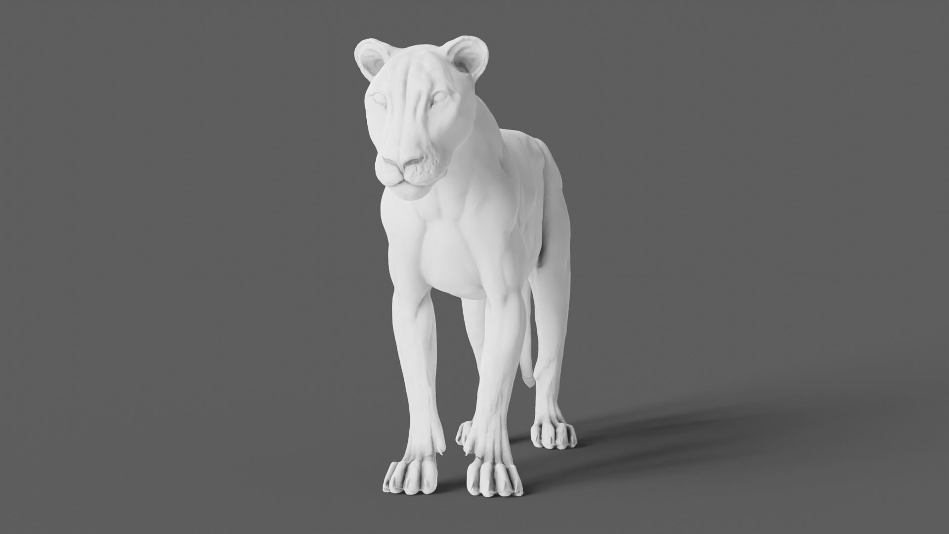 Lion 3D Model animal 3D model_6