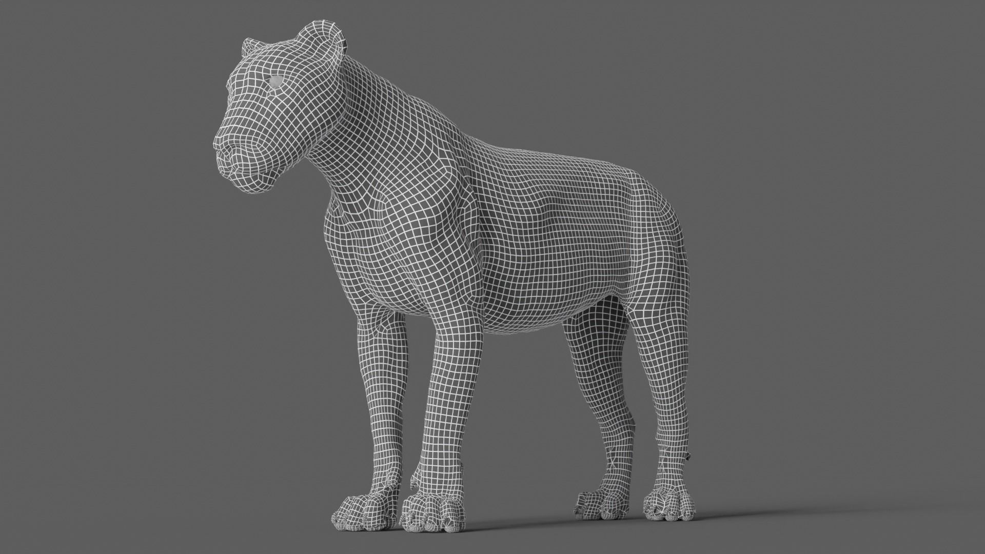 Lion 3D Model animal 3D model_23