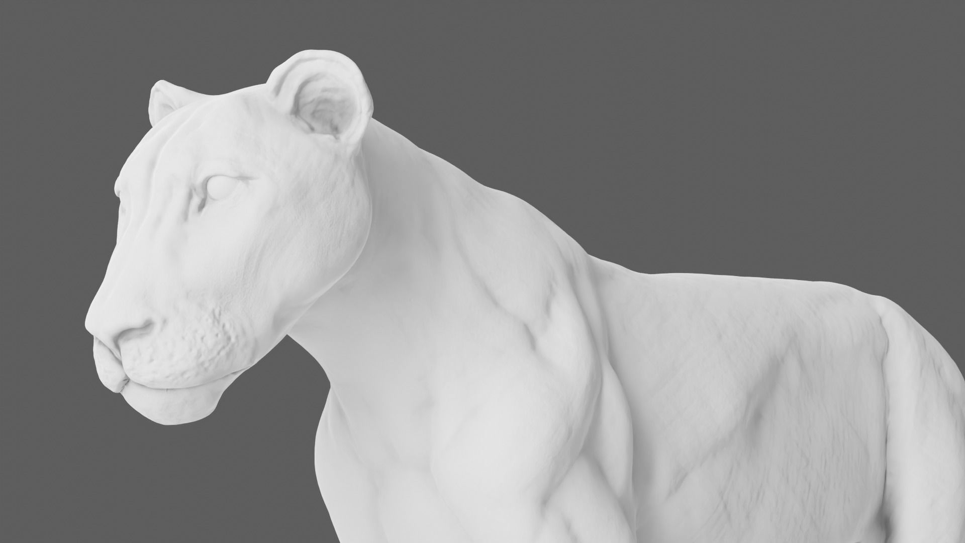 Lion 3D Model animal 3D model_1