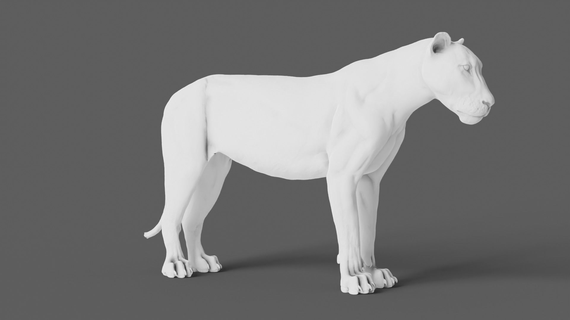Lion 3D Model animal 3D model_22