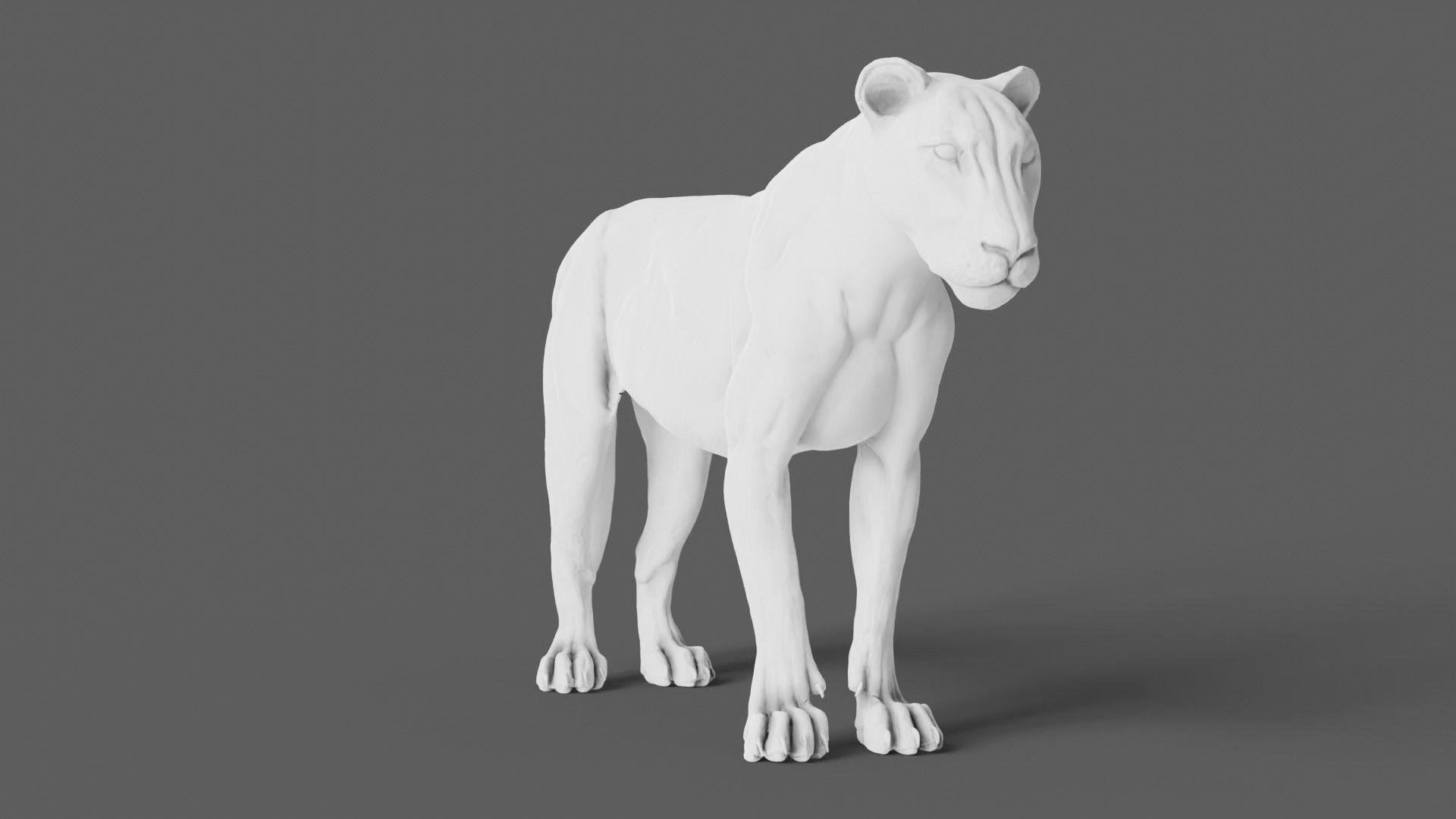 Lion 3D Model animal 3D model_4