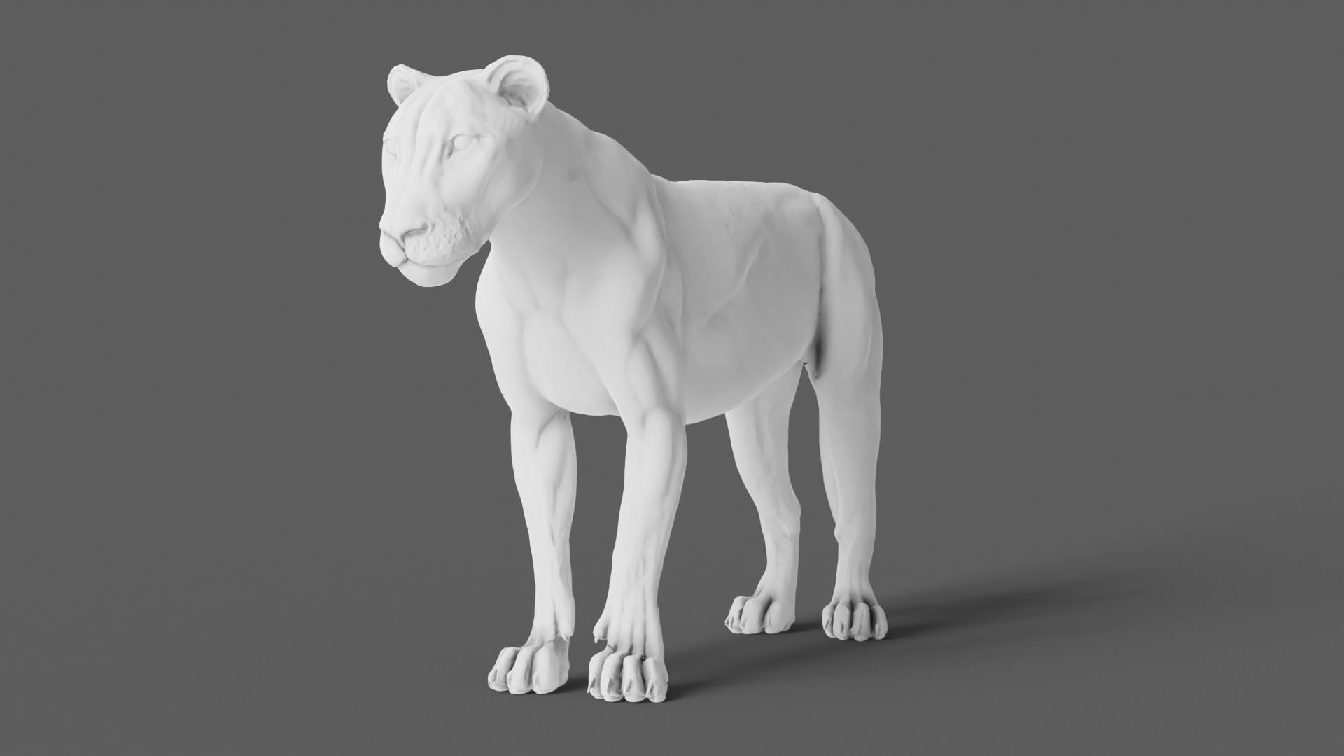 Lion 3D Model animal 3D model_7