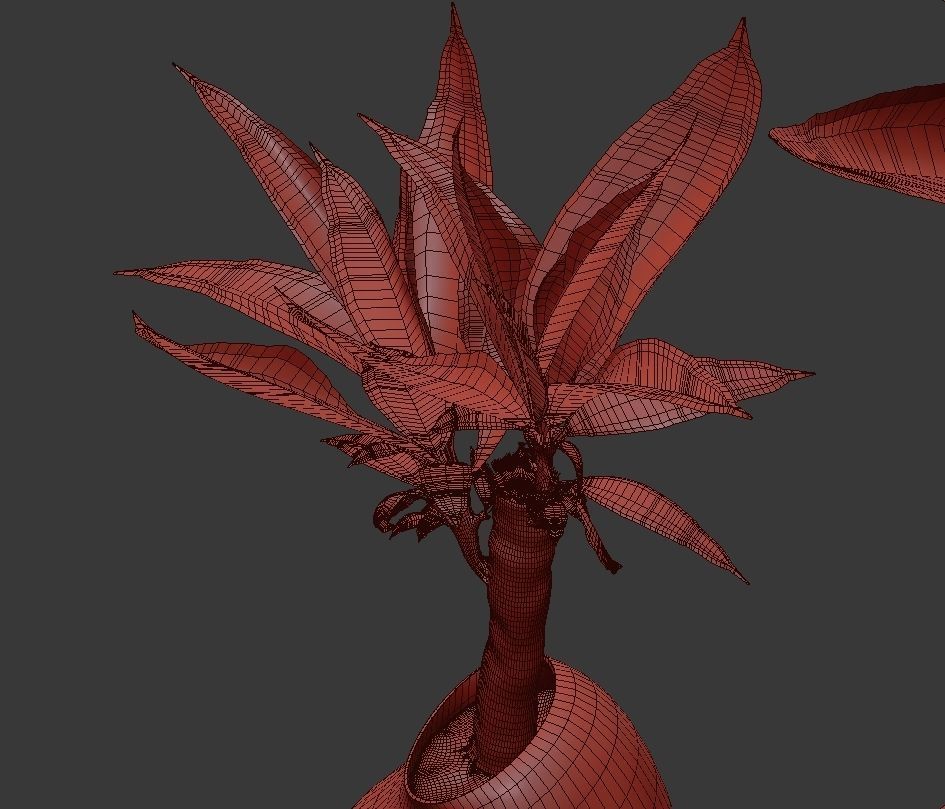 Flower Pack 63 3D model_4