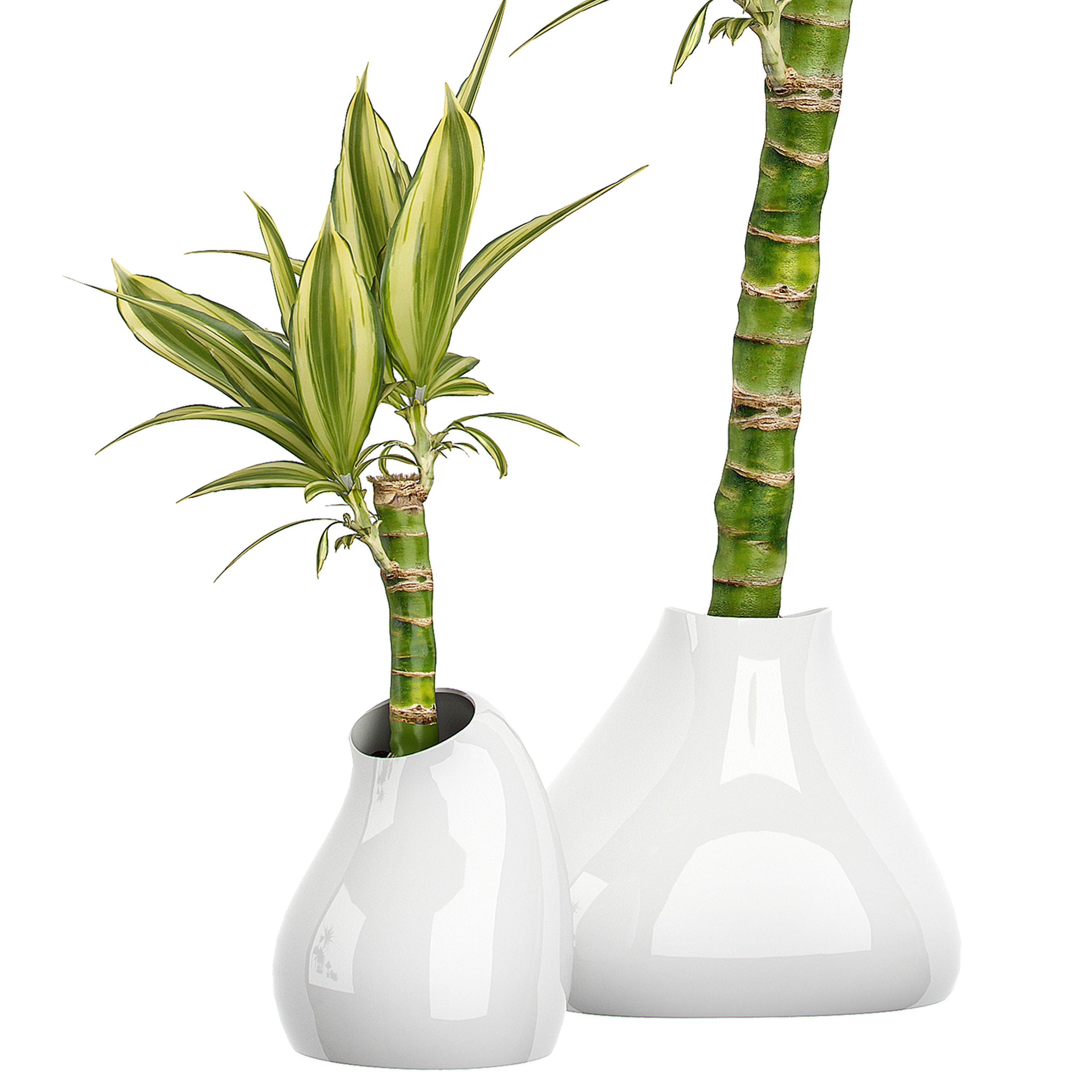 Flower Pack 63 3D model_1