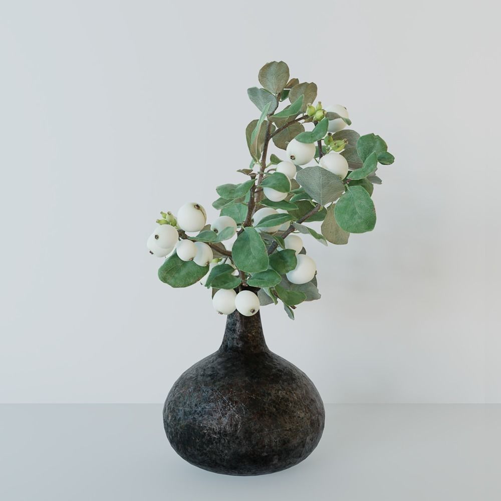 Snowberry branch in vase 3D model_7