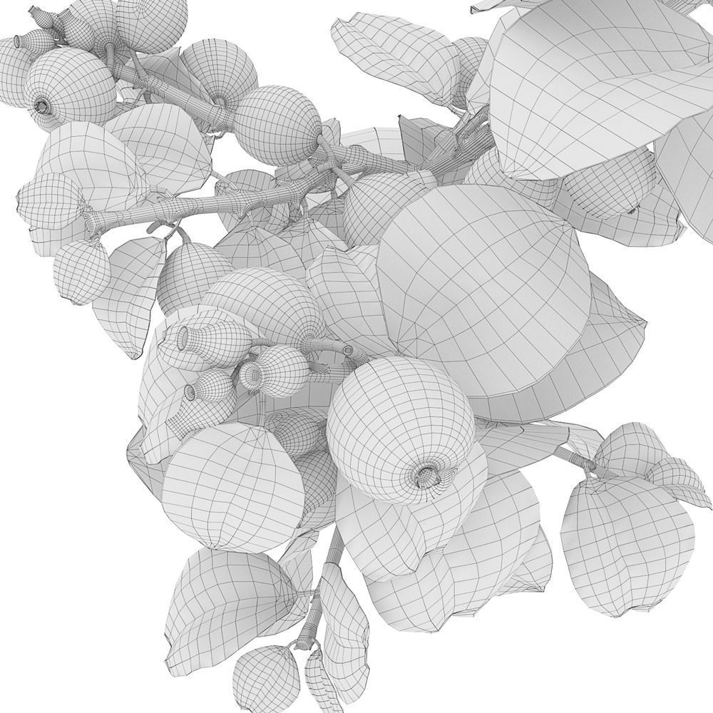 Snowberry branch in vase 3D model_9