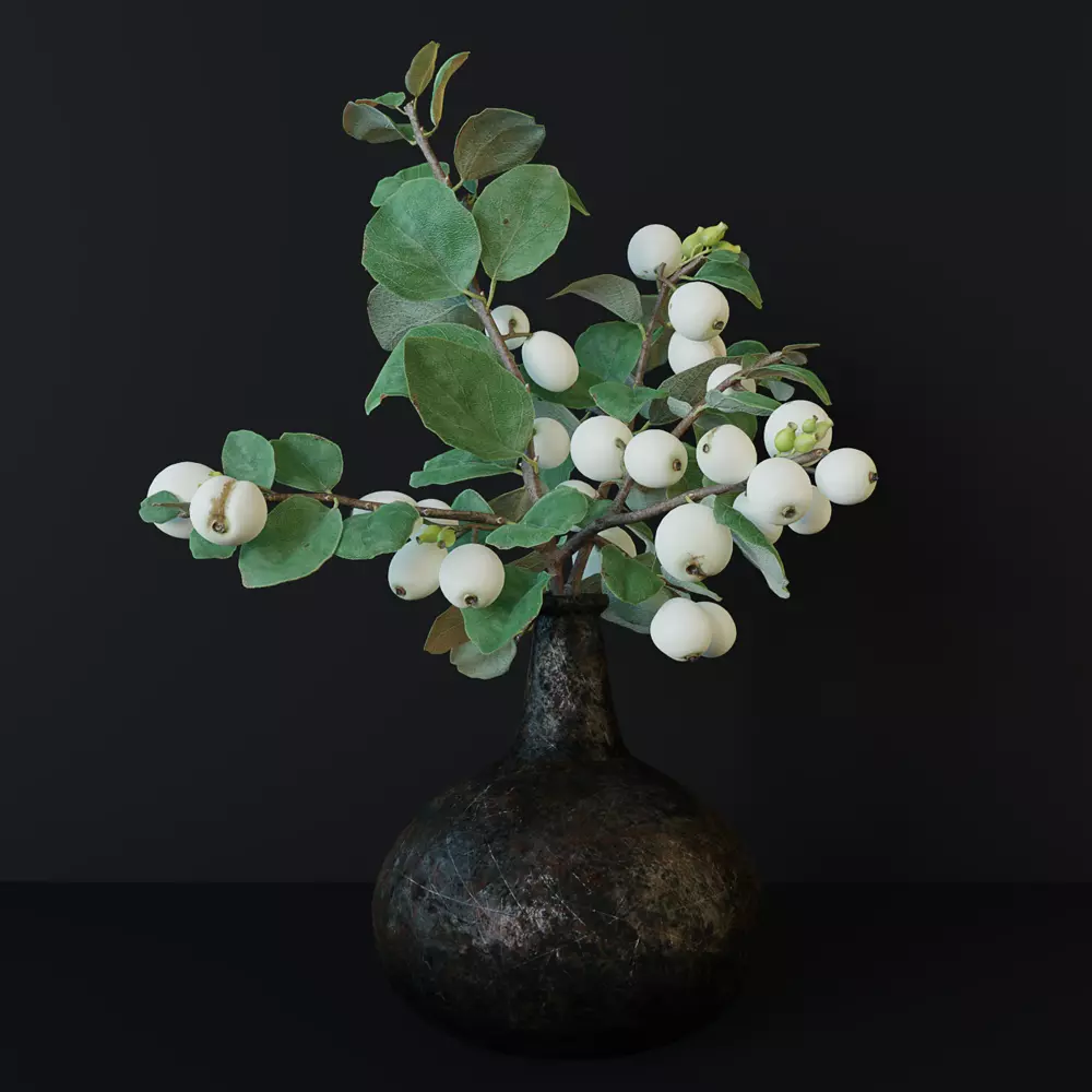 Snowberry branch in vase 3D model_0