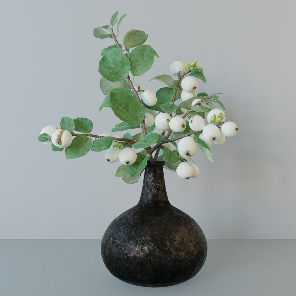 Snowberry branch in vase 3D model_2