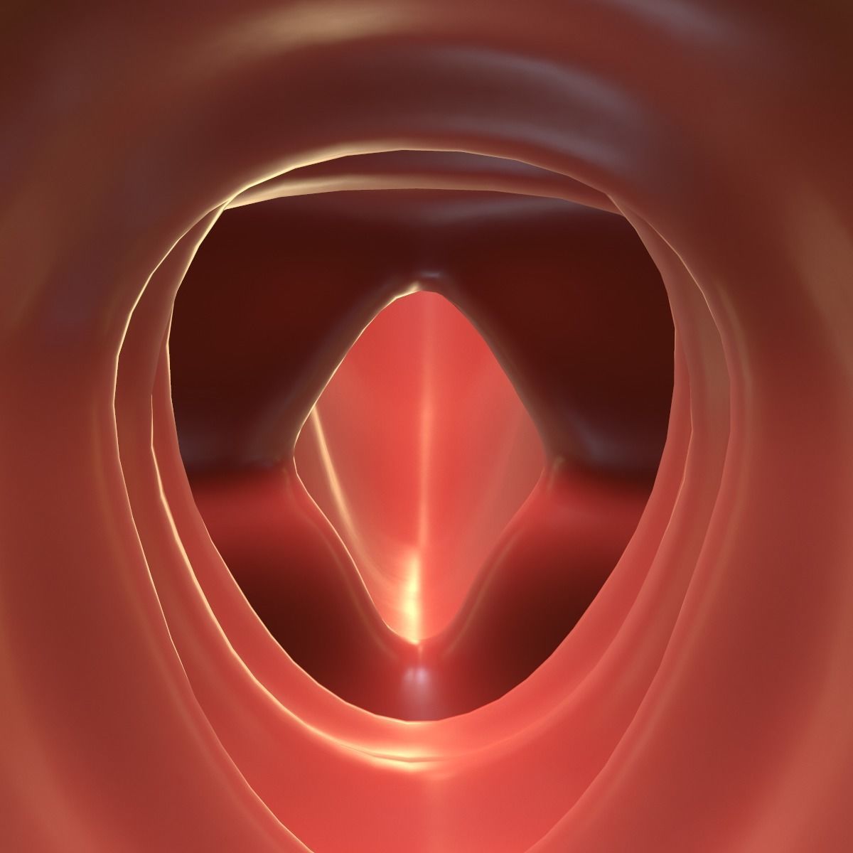 Female Reproductive System 3D model_3