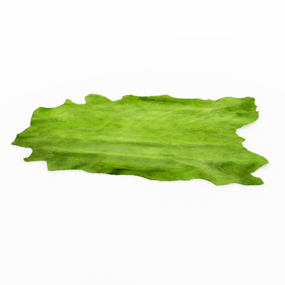Green Cow Hide Rug 3D model_2