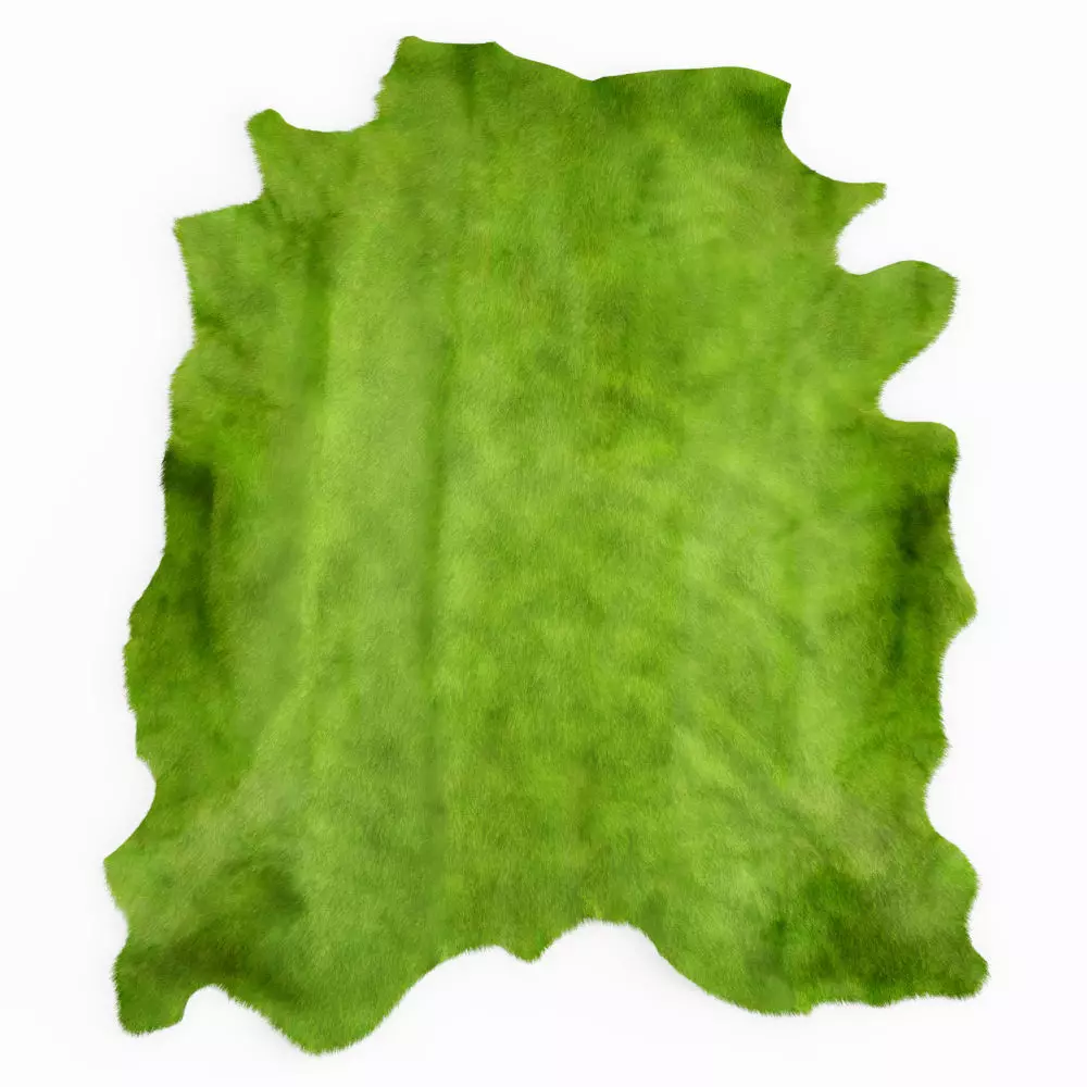 Green Cow Hide Rug 3D model_0