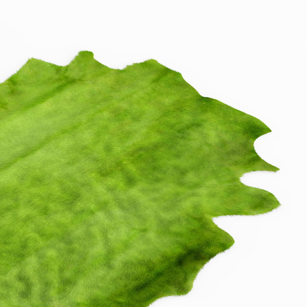 Green Cow Hide Rug 3D model_3