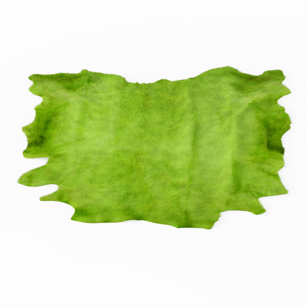 Green Cow Hide Rug 3D model_1