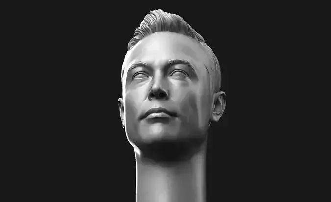 Elon Musk Head 3D print model