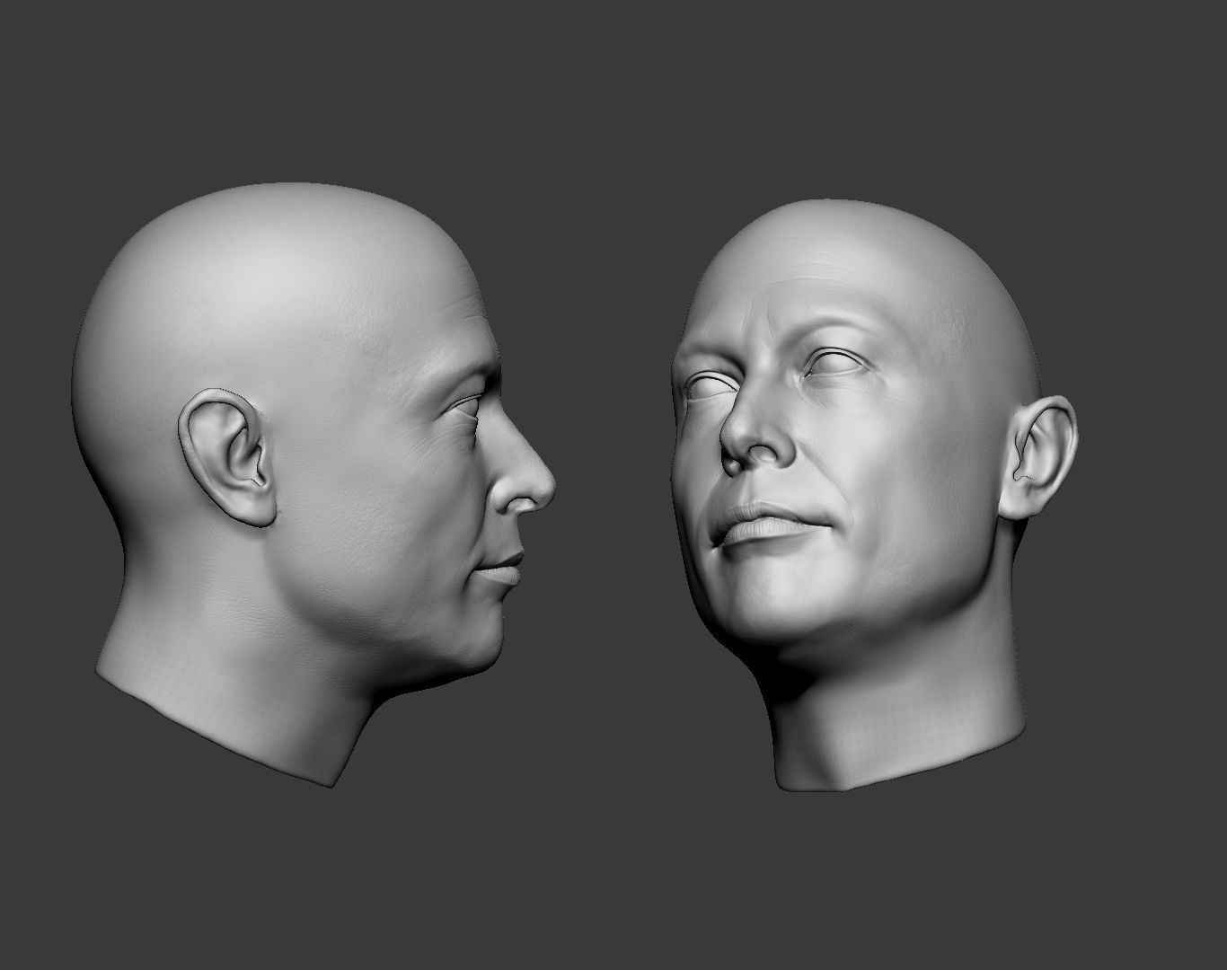 Elon Musk Head 3D print model_19