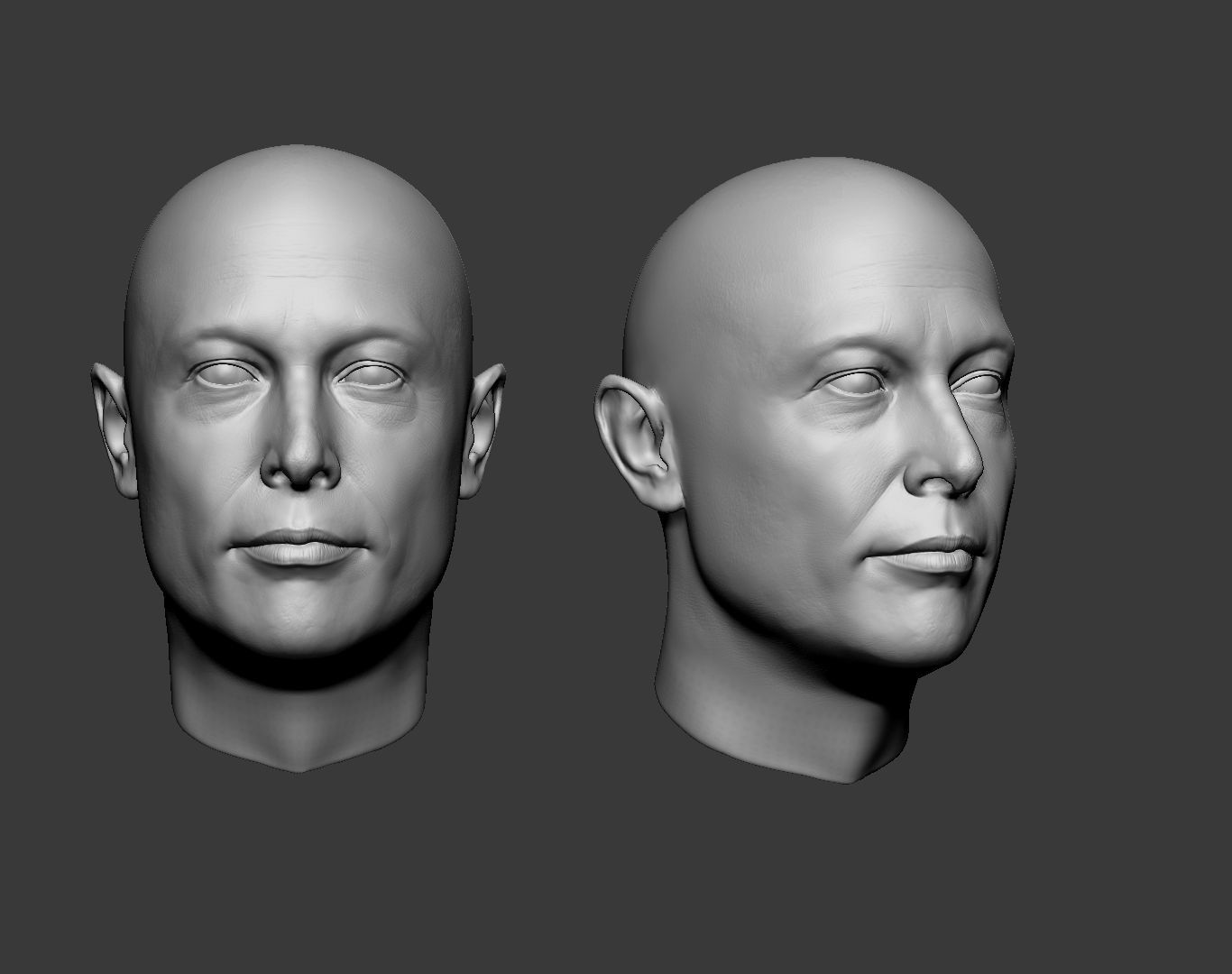 Elon Musk Head 3D print model_18
