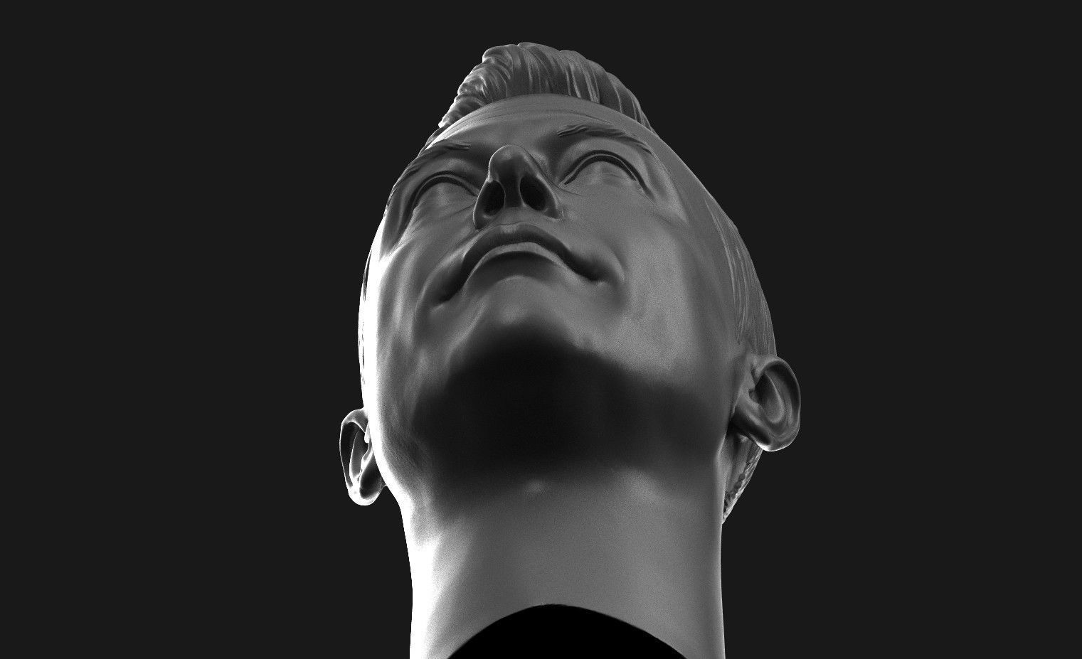 Elon Musk Head 3D print model_8