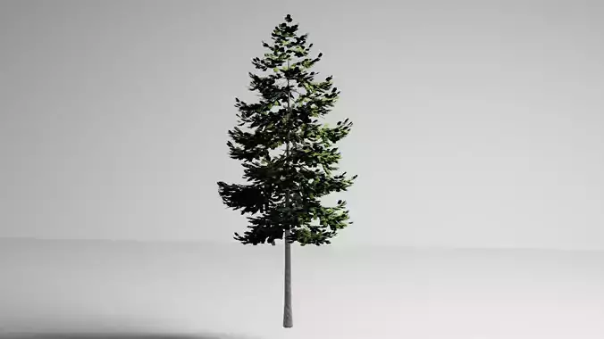 real tree