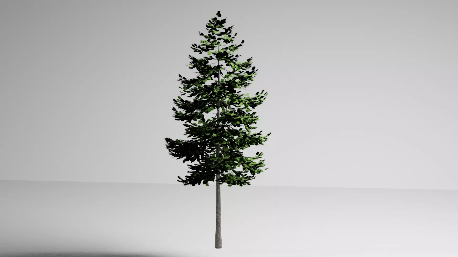 real tree Free low-poly 3D model_0