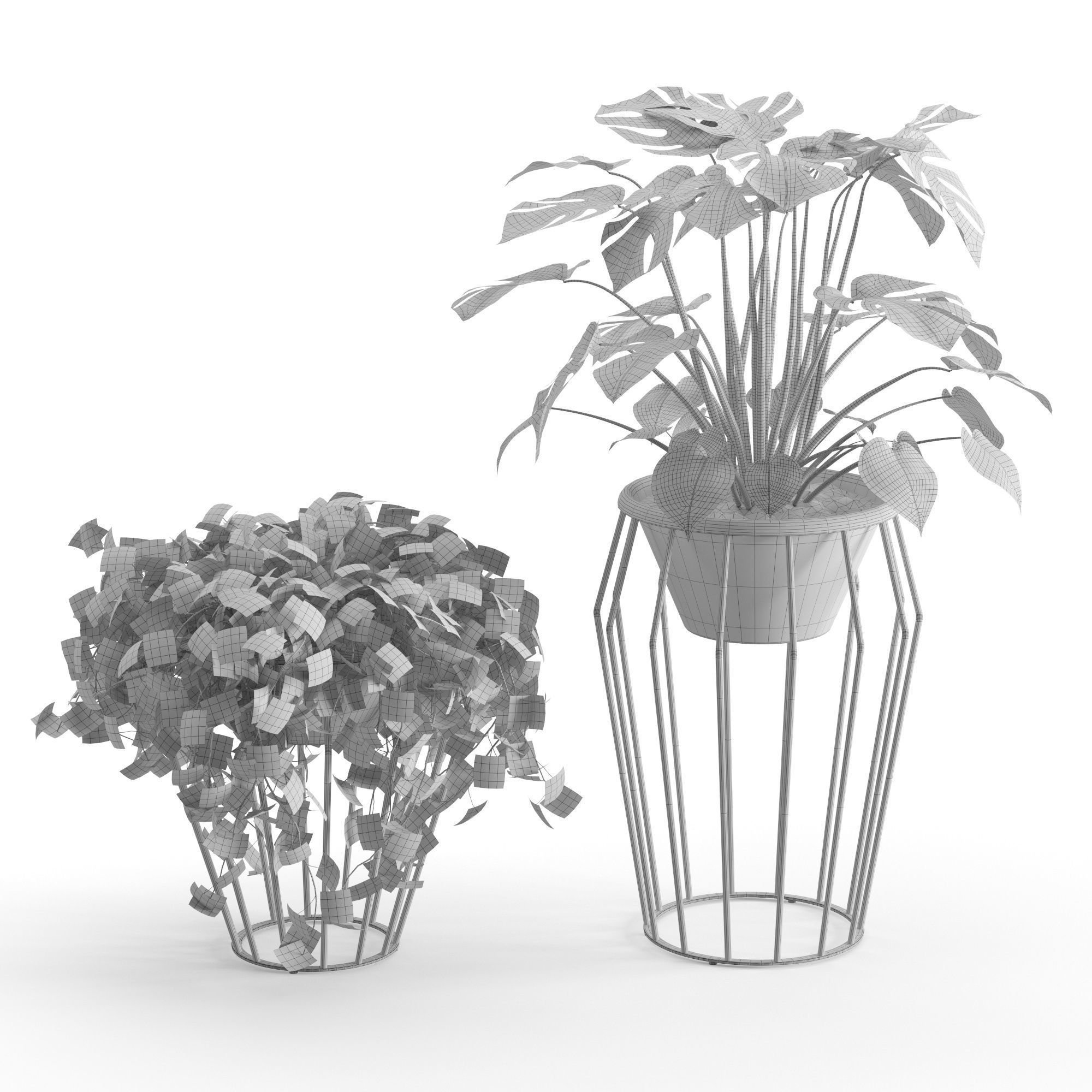 Houseplant 42 3D model_3
