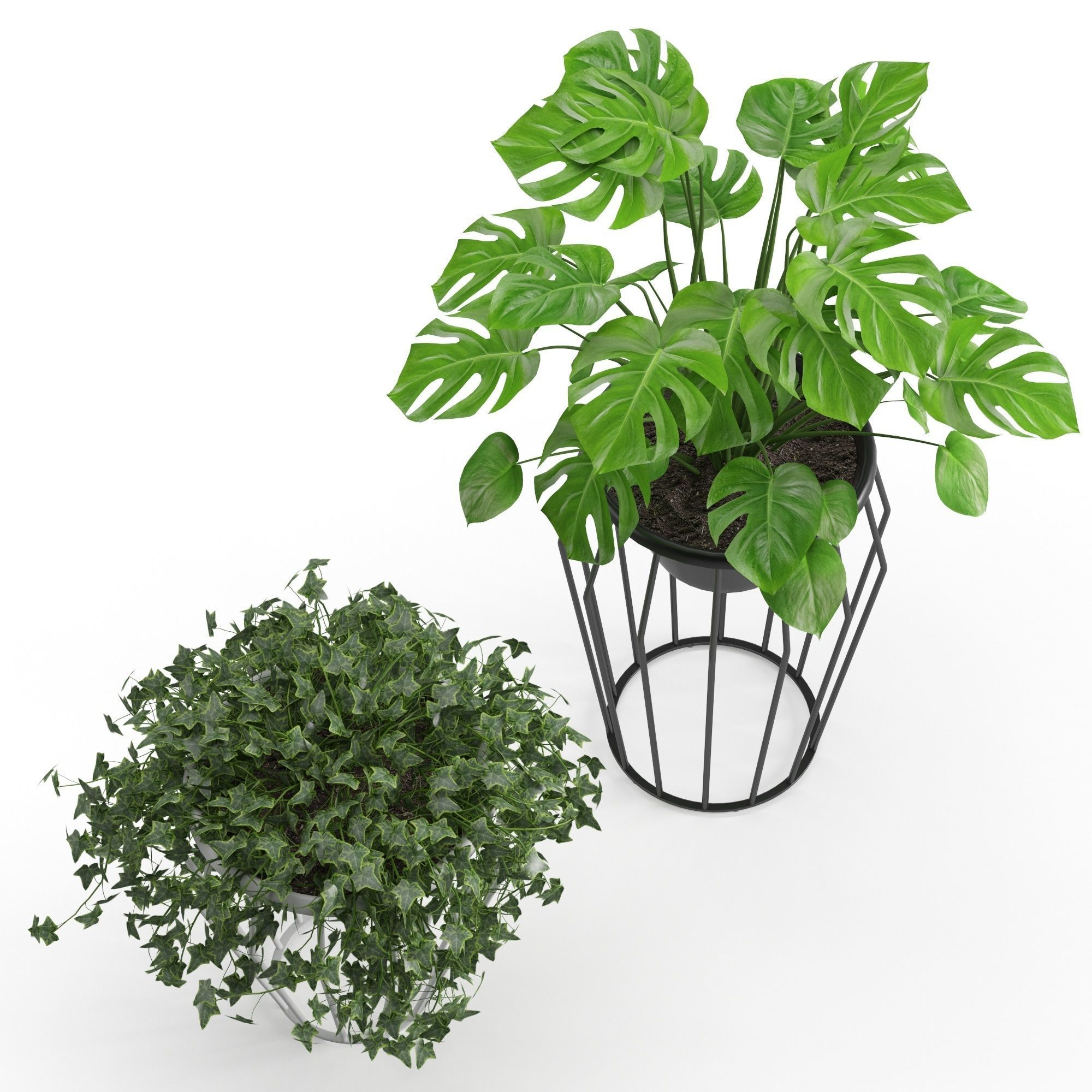 Houseplant 42 3D model_4
