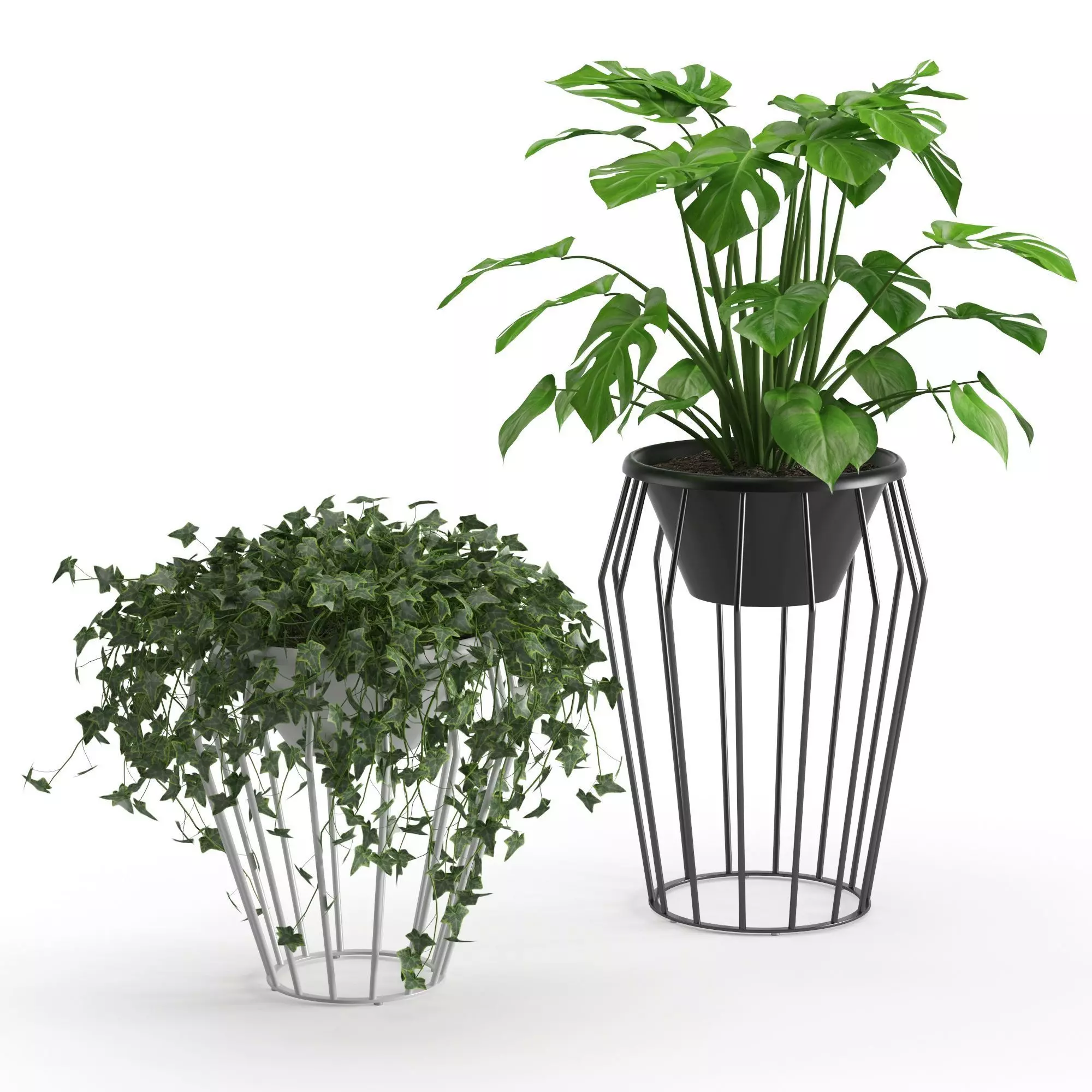 Houseplant 42 3D model_0