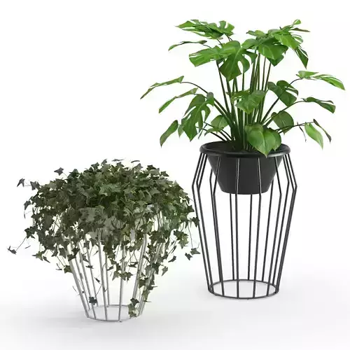 Houseplant 42 3D model