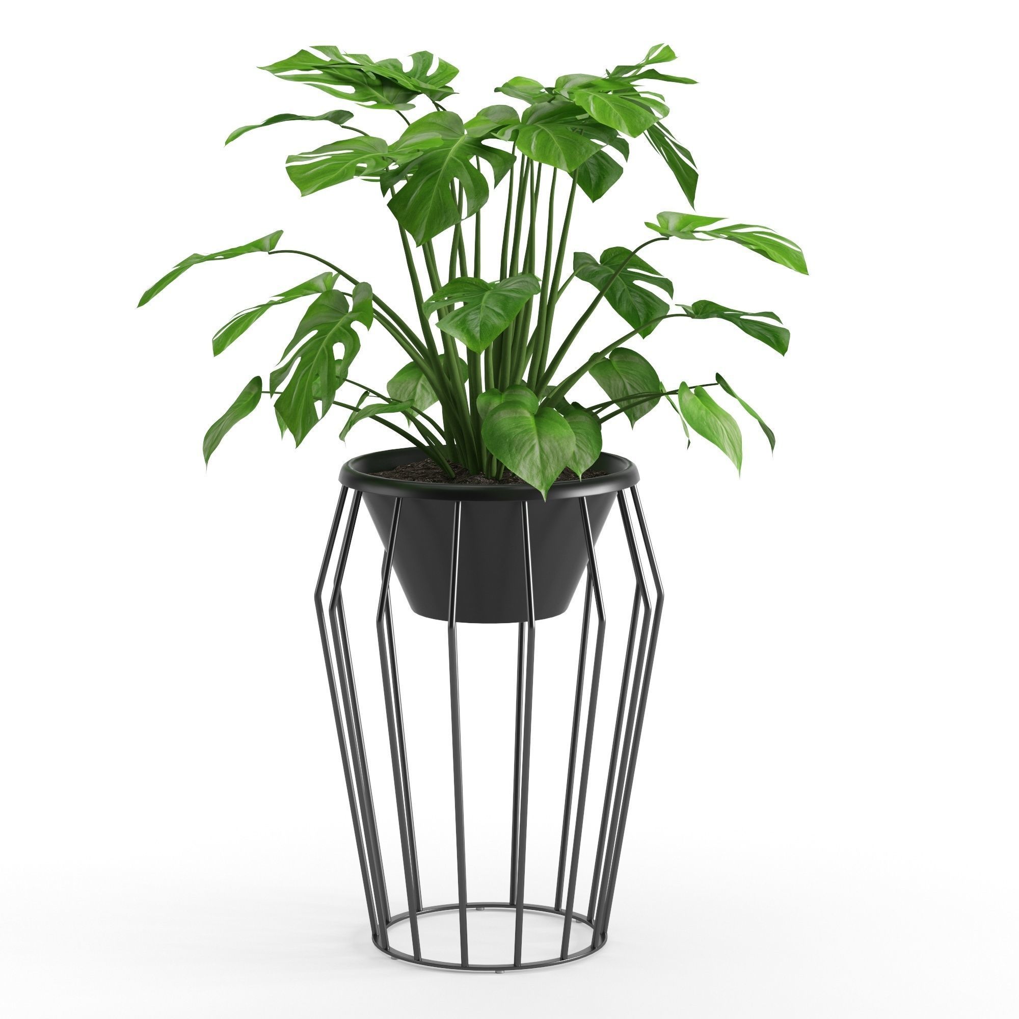 Houseplant 42 3D model_9