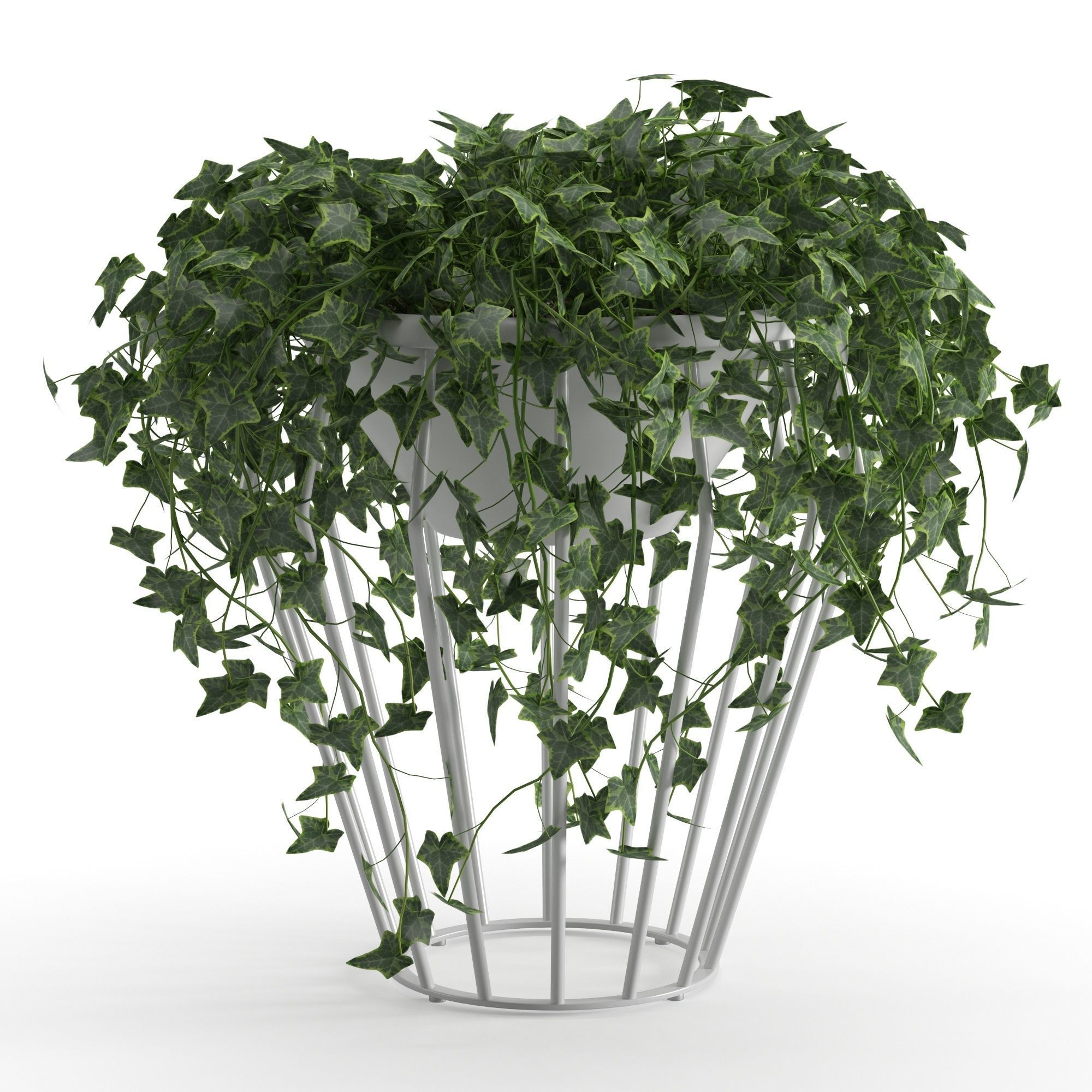 Houseplant 42 3D model_8
