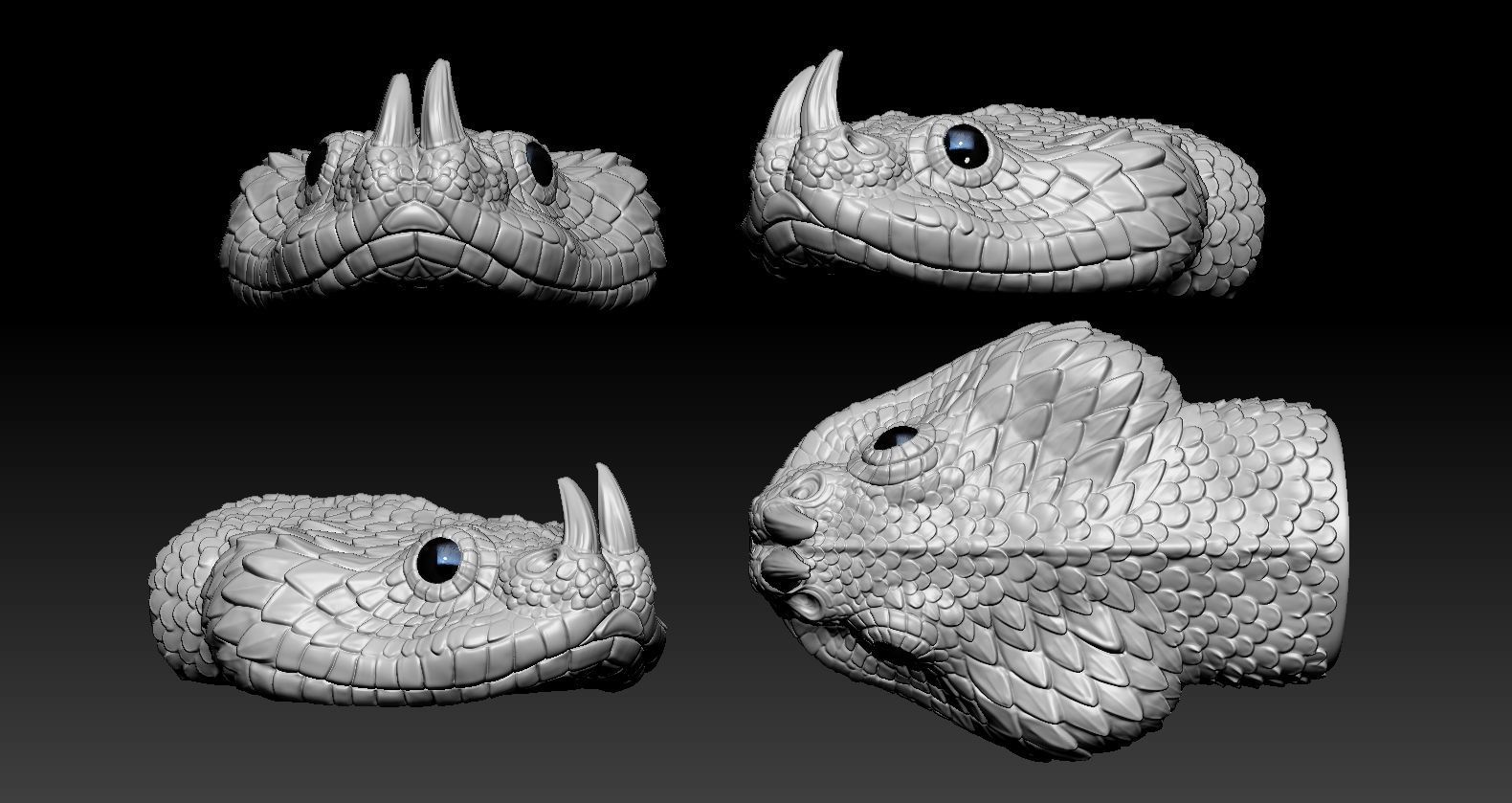Gaboon Viper  3D print model_1