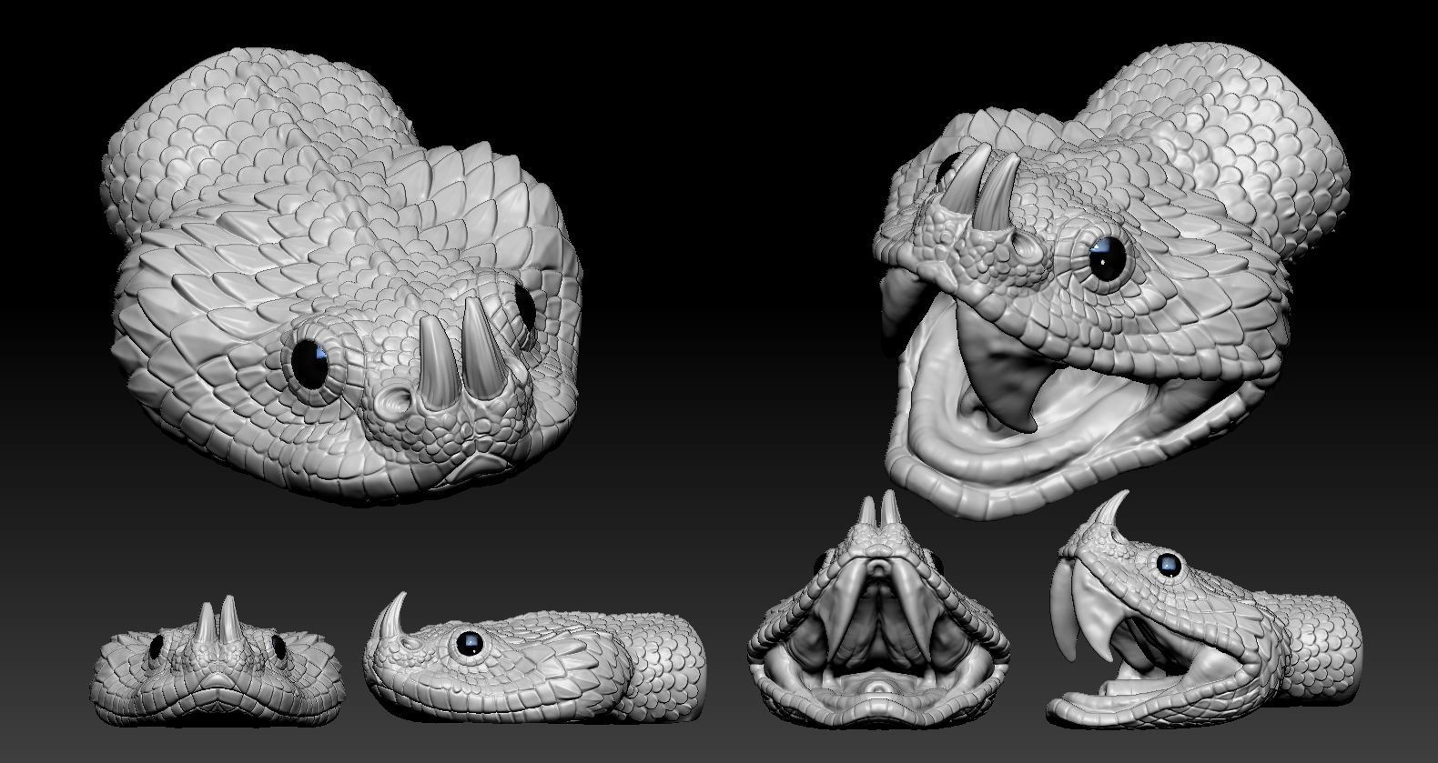 Gaboon Viper  3D print model_9