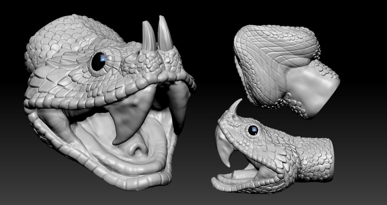 Gaboon Viper  3D print model_7