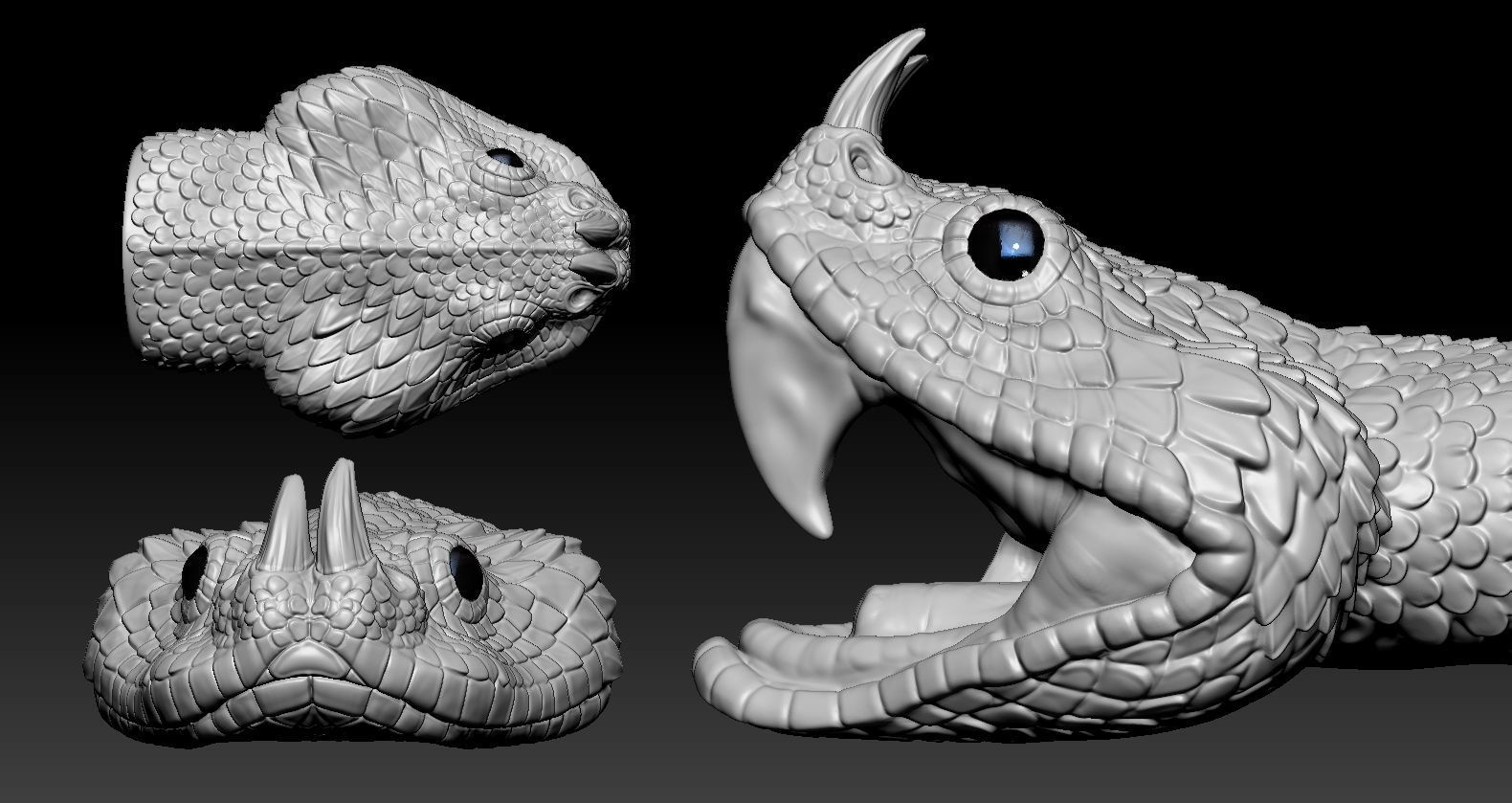 Gaboon Viper  3D print model_3