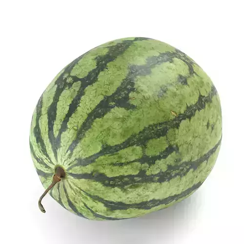 Watermelon - Photorealistic Scan