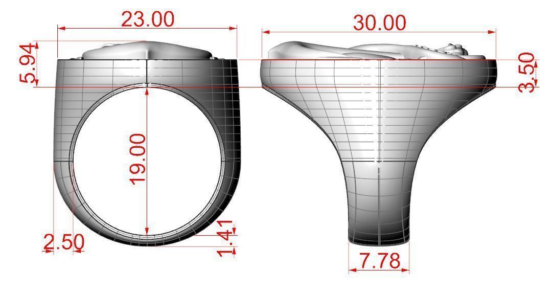 Snake Anchored 3D print model_7