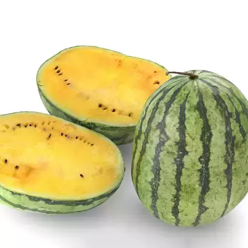 Yellow Watermelon - Photorealistic Scan