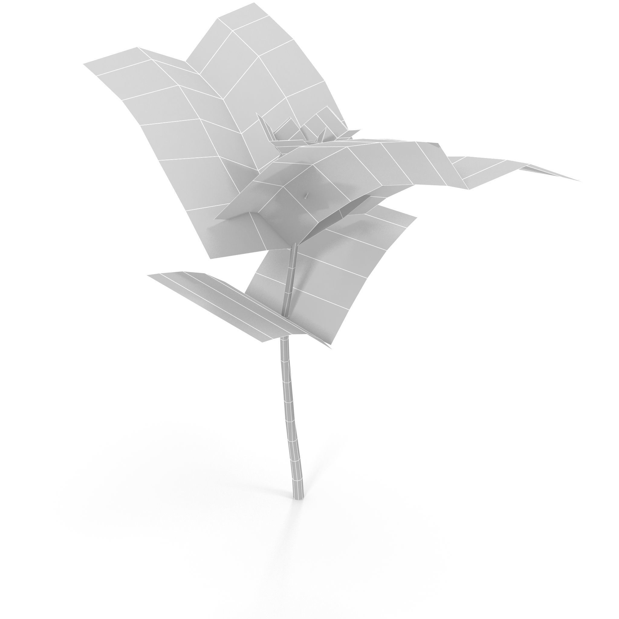 Red amaranth Low-poly 3D model_7