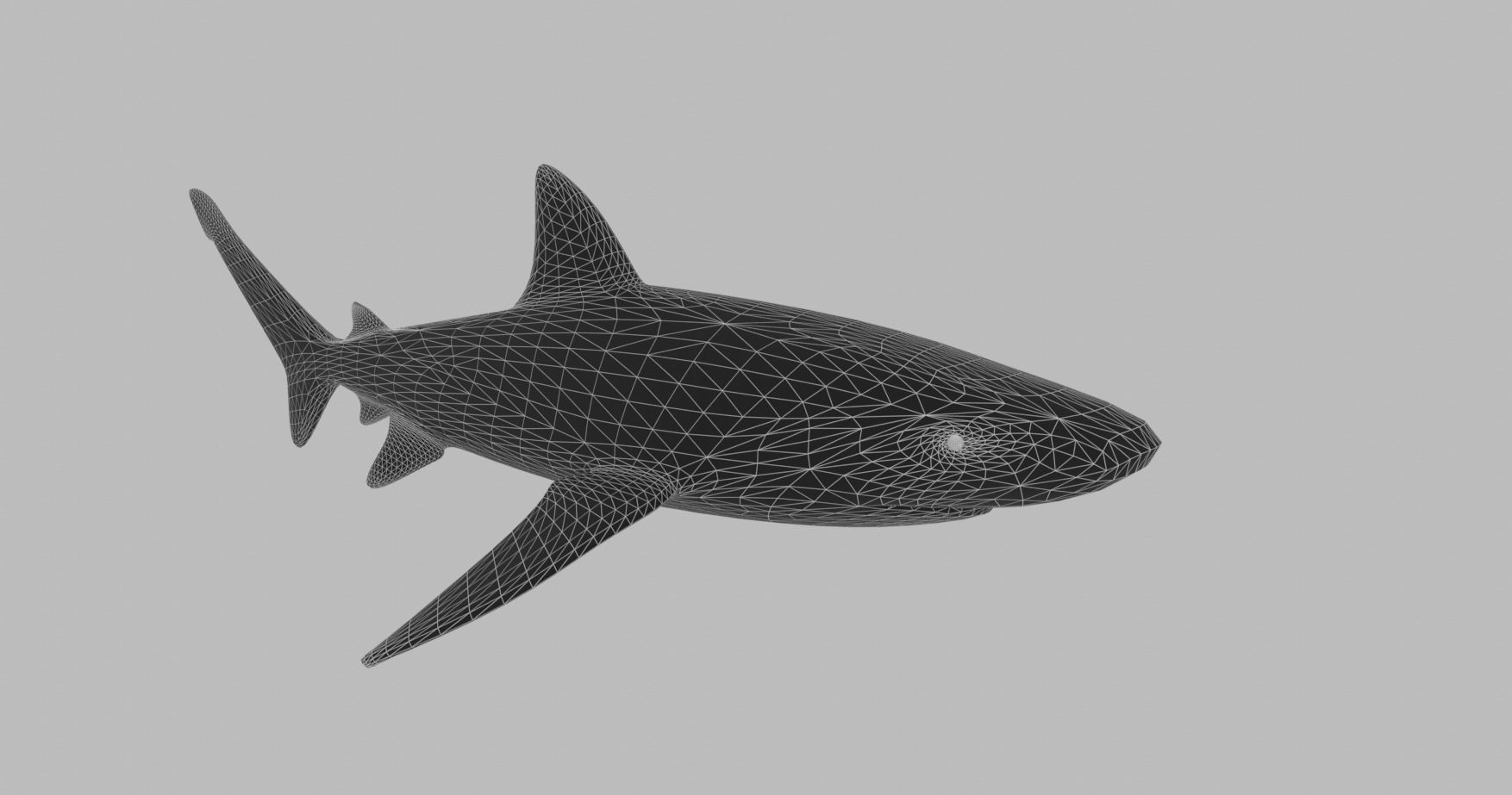 Great White Shark - Queen of the Ocean  Low-poly 3D model_3