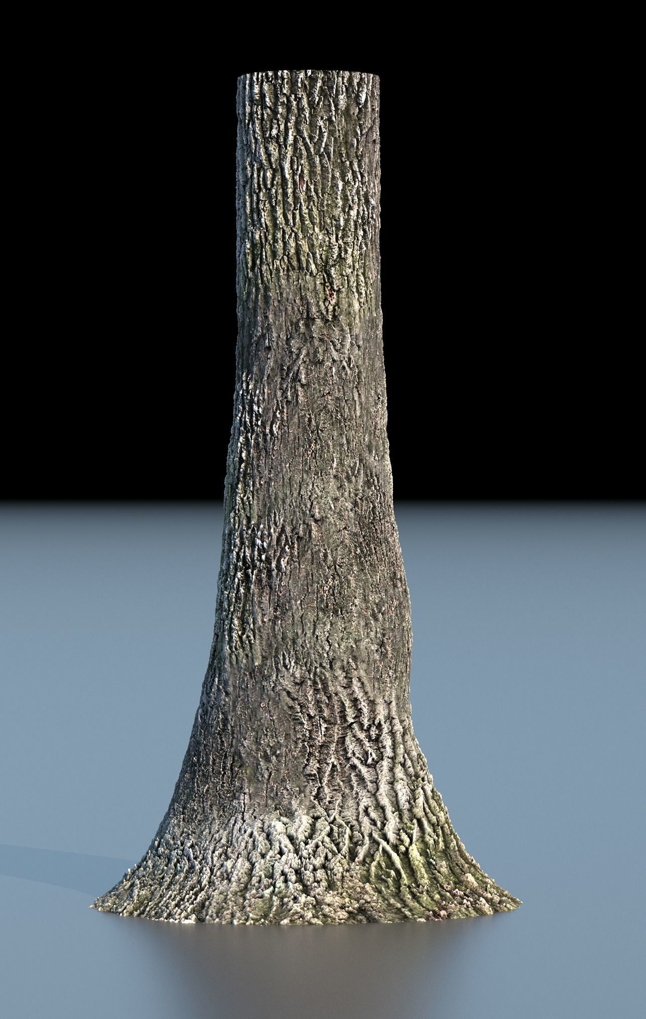 Tree Bark 4k Seamless texture set of 7 wooden materials Texture_14