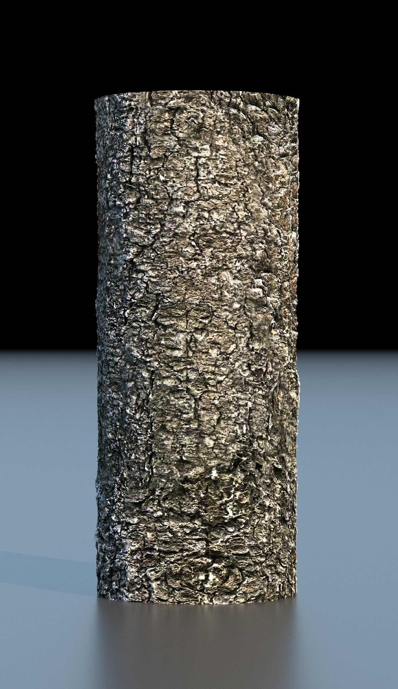 Tree Bark 4k Seamless texture set of 7 wooden materials Texture_8