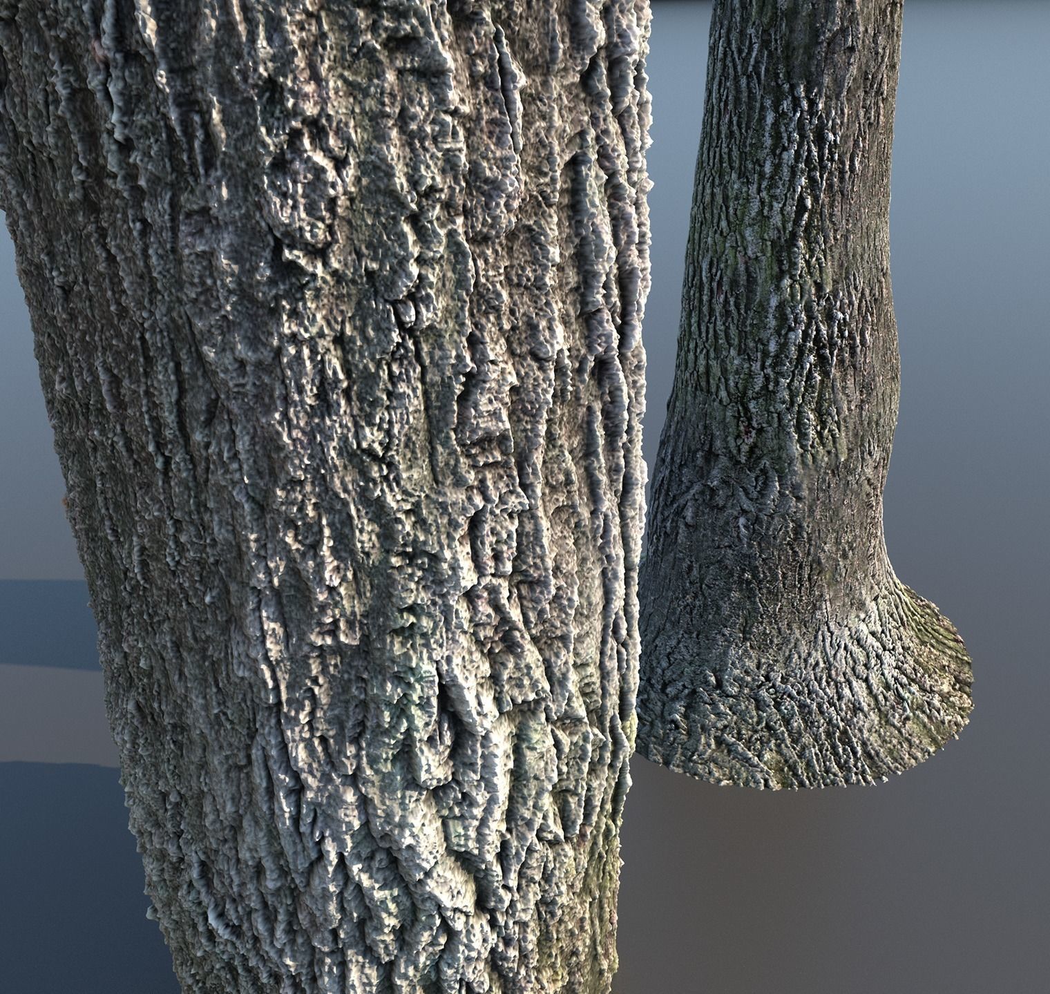 Tree Bark 4k Seamless texture set of 7 wooden materials Texture_13
