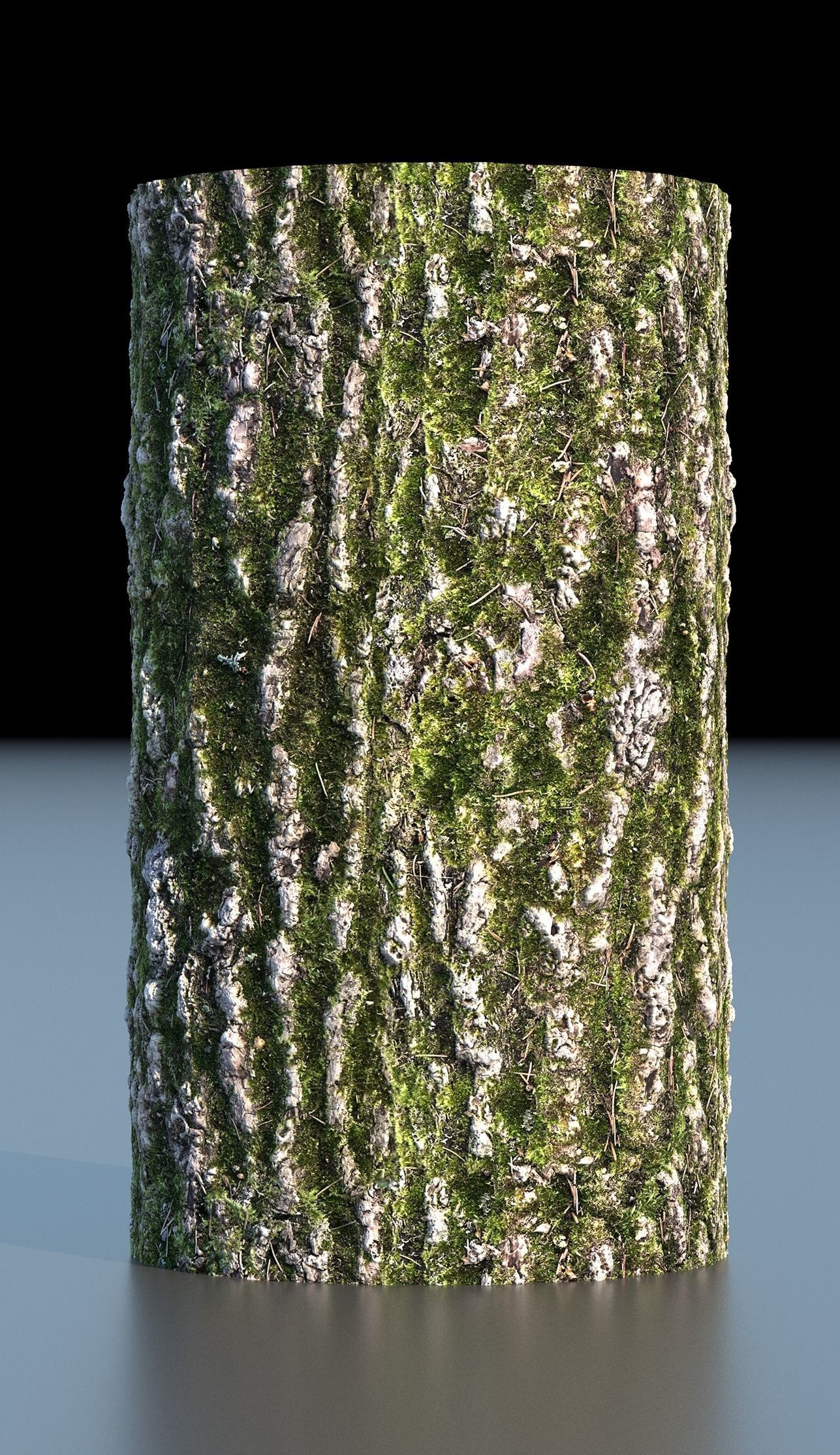 Tree Bark 4k Seamless texture set of 7 wooden materials Texture_6