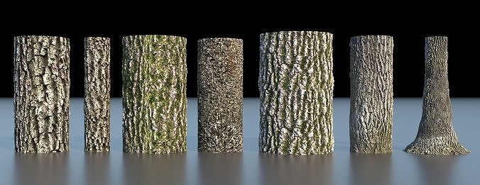 Tree Bark 4k Seamless texture set of 7 wooden materials Texture