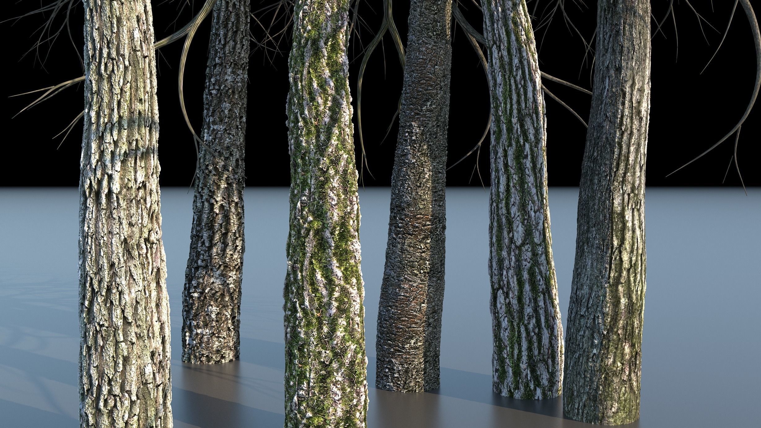 Tree Bark 4k Seamless texture set of 7 wooden materials Texture_1