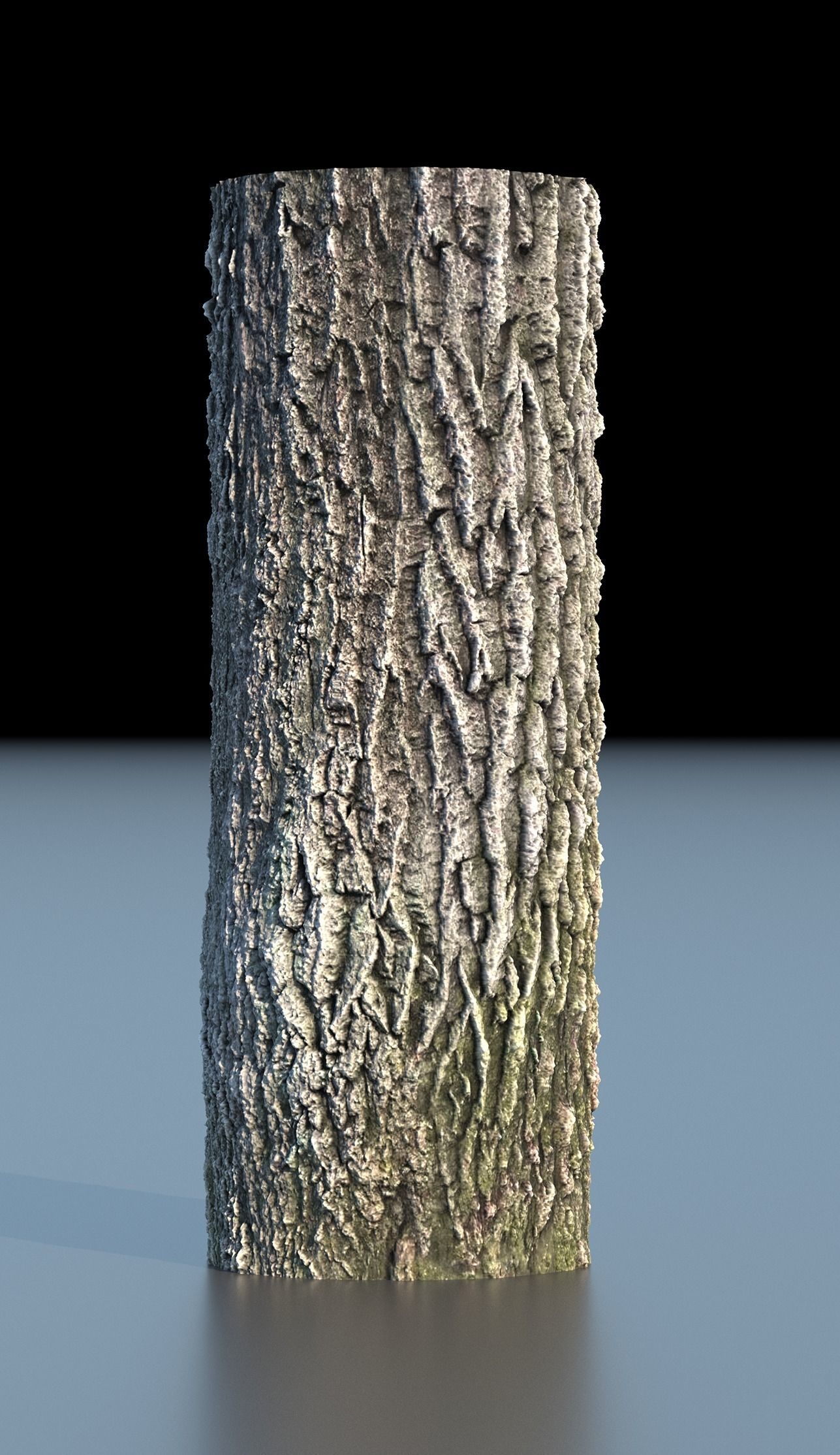 Tree Bark 4k Seamless texture set of 7 wooden materials Texture_12