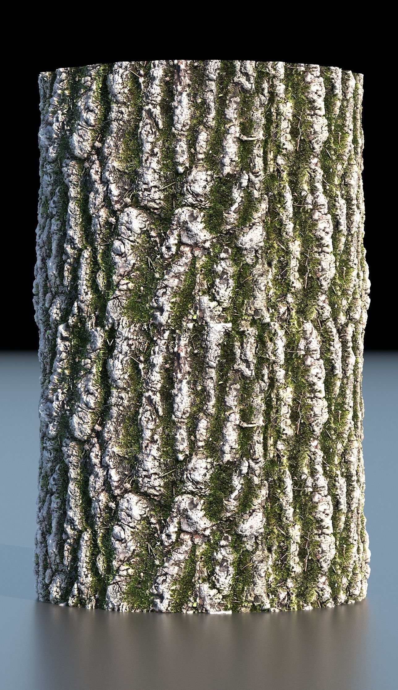 Tree Bark 4k Seamless texture set of 7 wooden materials Texture_10