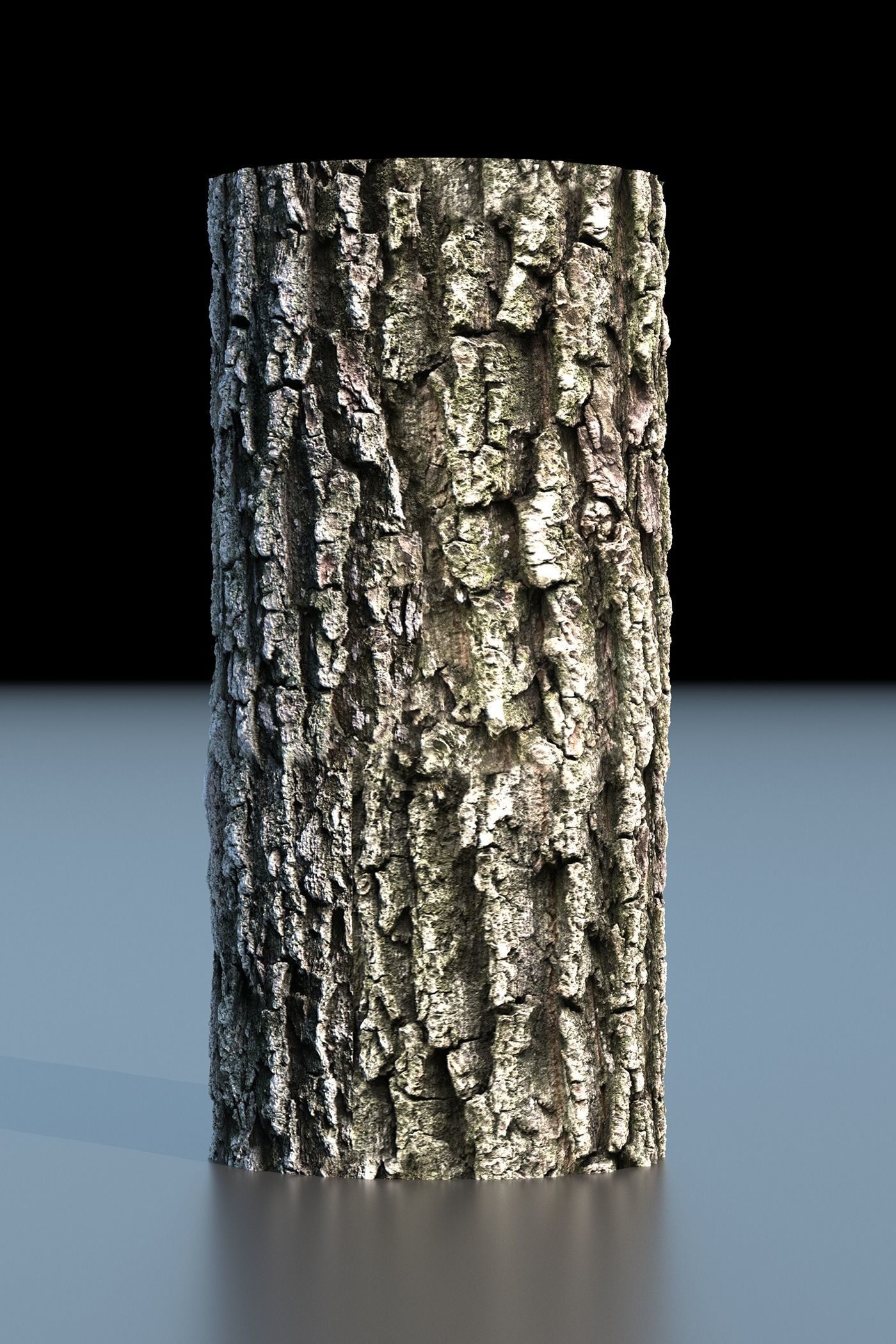 Tree Bark 4k Seamless texture set of 7 wooden materials Texture_2